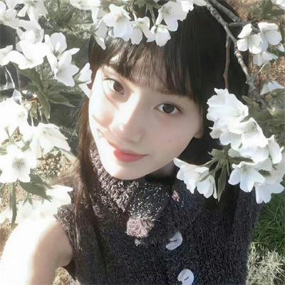 婆罗多